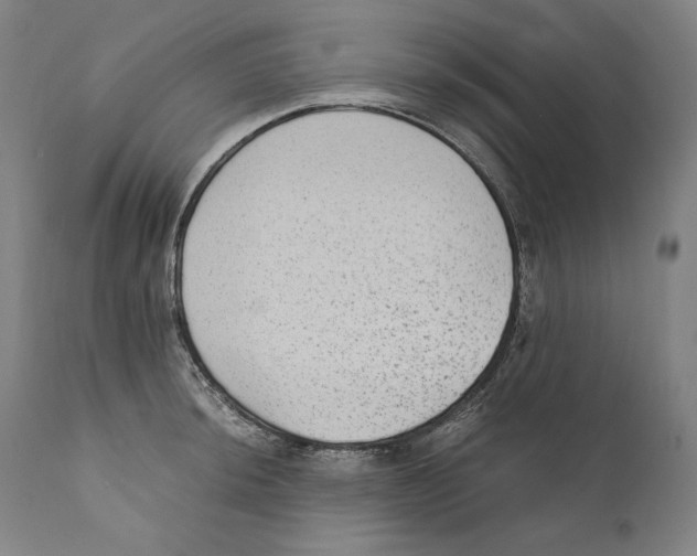 X0000110711044200907101239