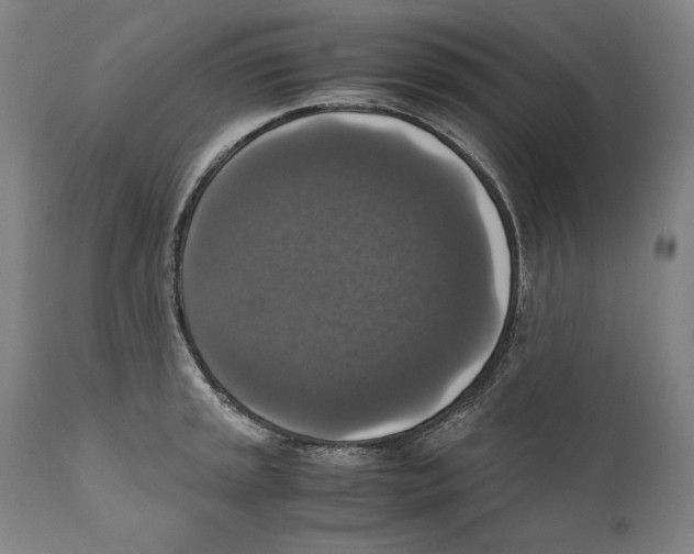 X0000110711045200907101239