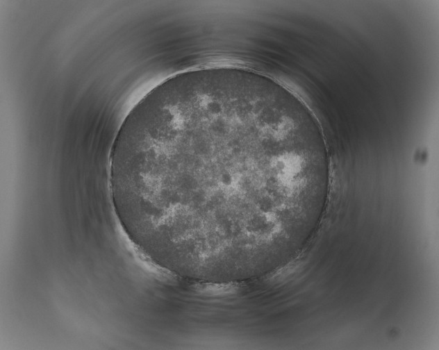 X0000110711047200907101239