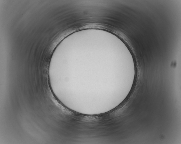 X0000110711049200907101240