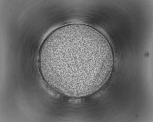 X0000110711051200907101240