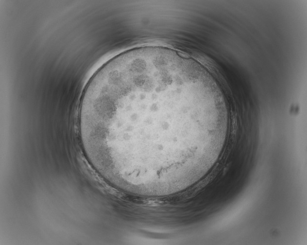 X0000110711052200907101240