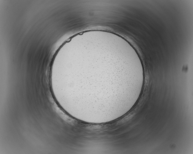 X0000110711054200907101240