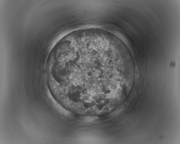 X0000110711055200907101240