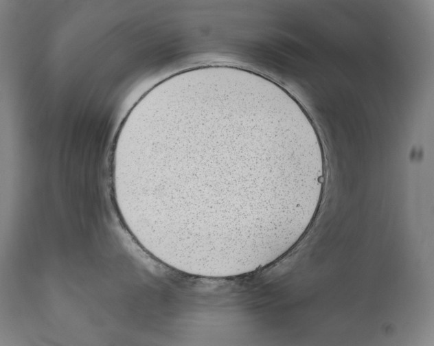 X0000110711056200907101240