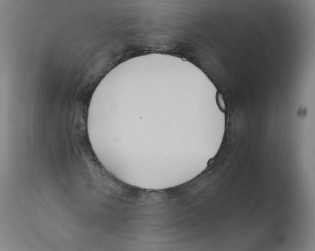 X0000110711058200907101239