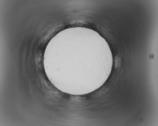 X0000110711059200907101239