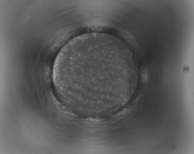 X0000110711060200907101239