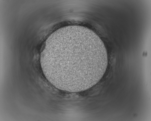 X0000110711061200907101239