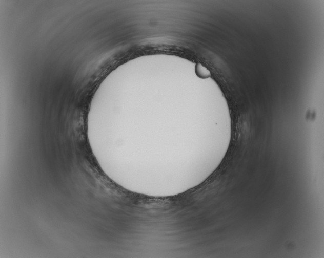 X0000110711062200907101239