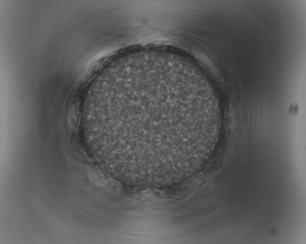 X0000110711063200907101239