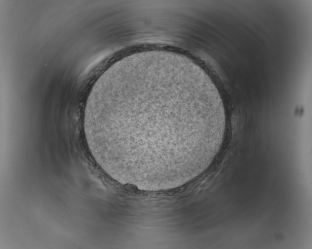 X0000110711064200907101239