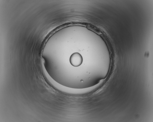 X0000110711065200907101239