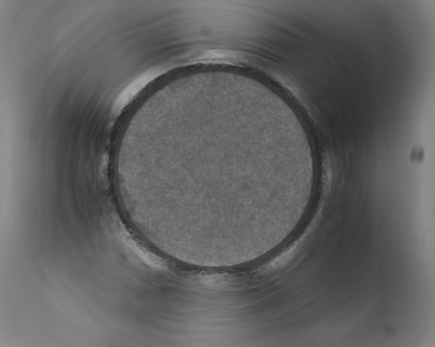 X0000110711066200907101239