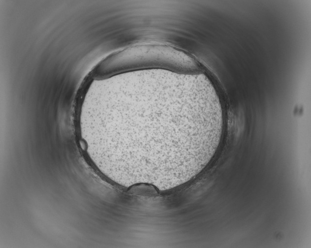 X0000110711068200907101239