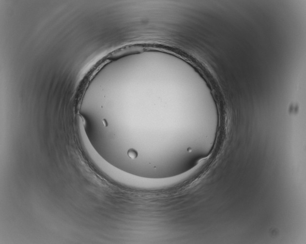 X0000110711069200907101239