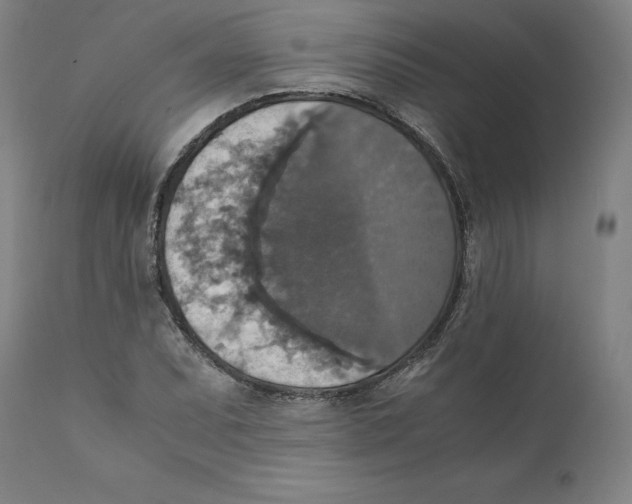 X0000110711071200907101239