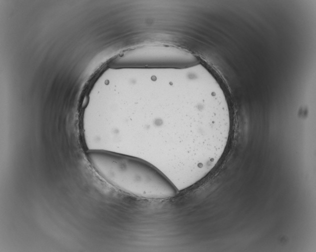 X0000110711072200907101239