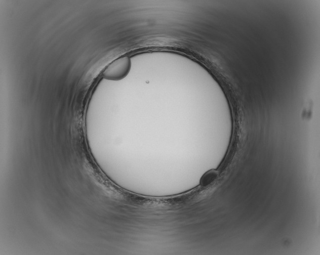 X0000110711073200907101239