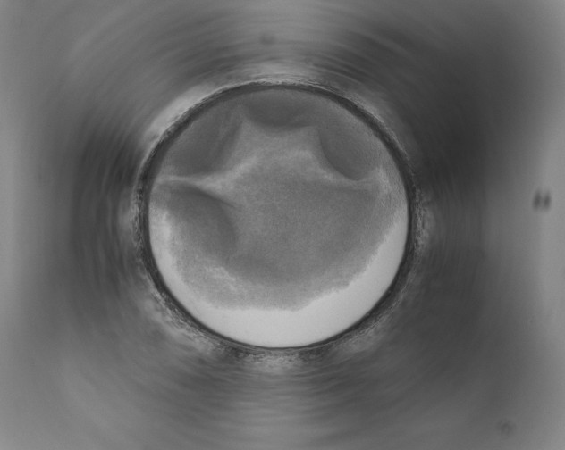 X0000110711074200907101239