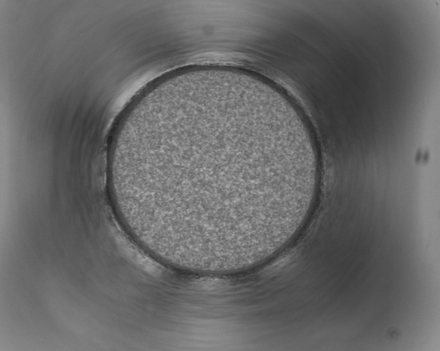 X0000110711075200907101239