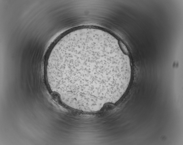 X0000110711076200907101239