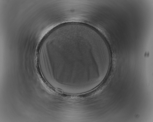 X0000110711077200907101238