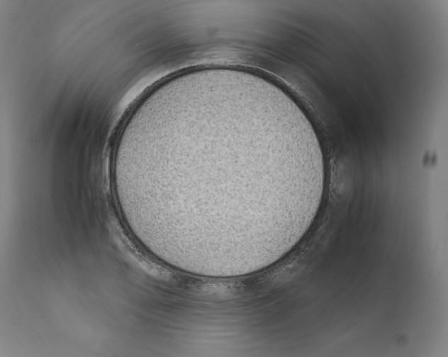 X0000110711078200907101238