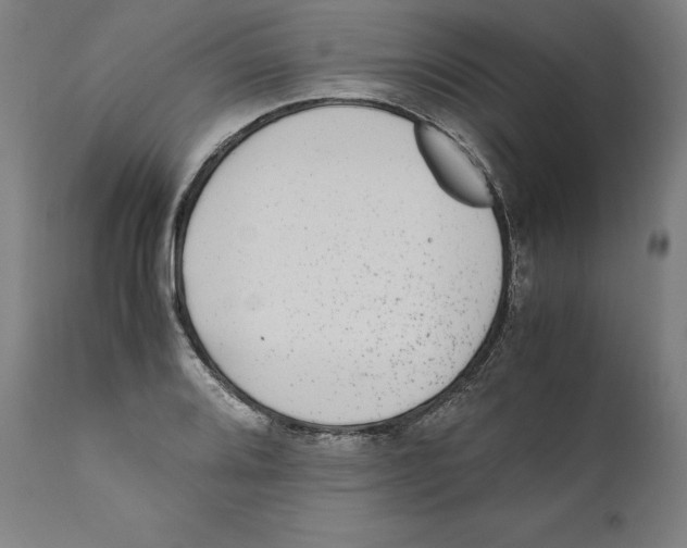 X0000110711080200907101238