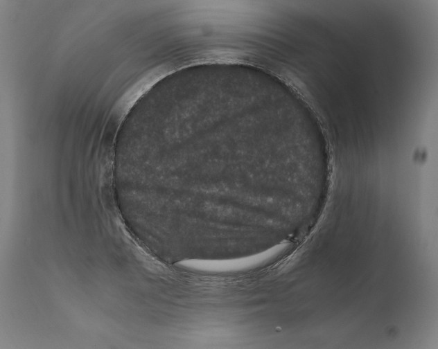 X0000110711081200907101238