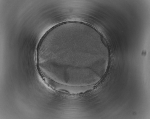 X0000110711084200907101238