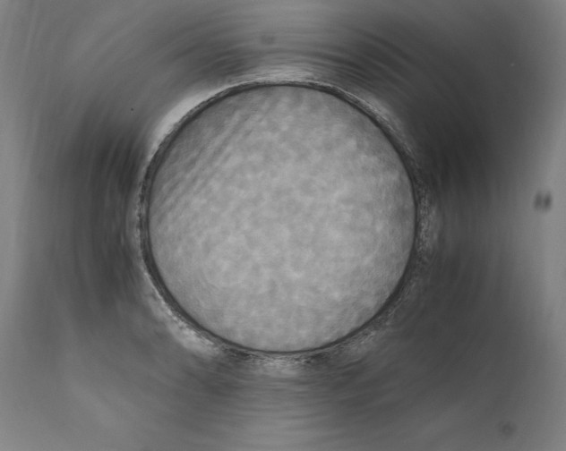 X0000110711086200907101238