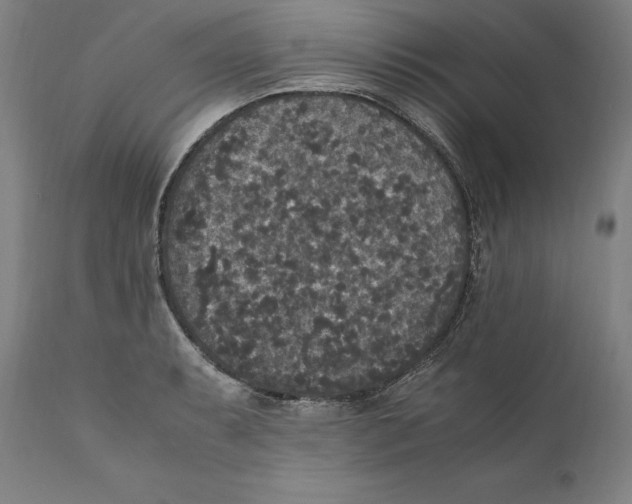 X0000110711087200907101238