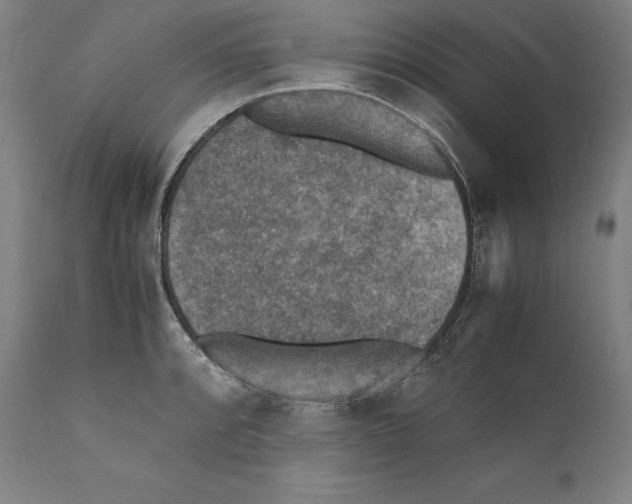 X0000110711088200907101238