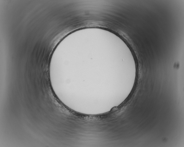 X0000110711089200907101238