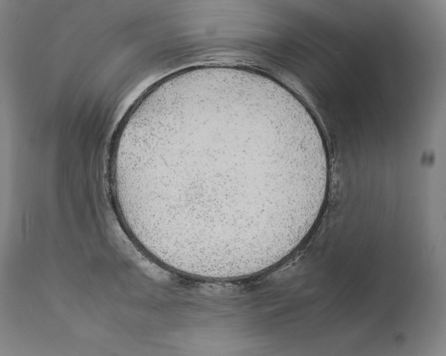 X0000110711091200907101238