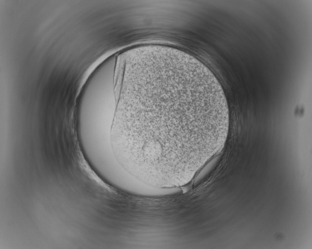 X0000110711092200907101238