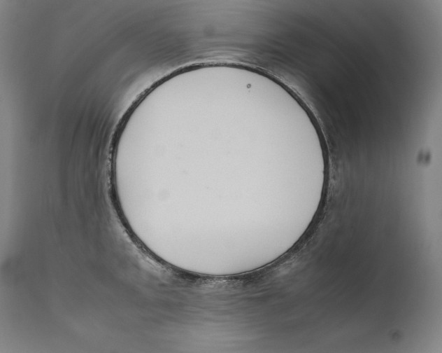 X0000110711093200907101238