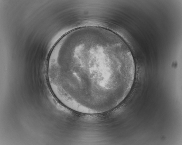 X0000110711094200907101238