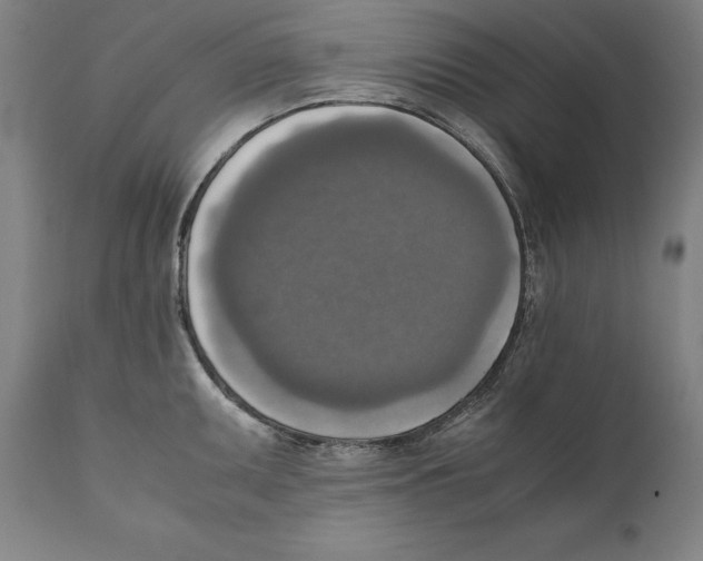 X0000110711095200907101238