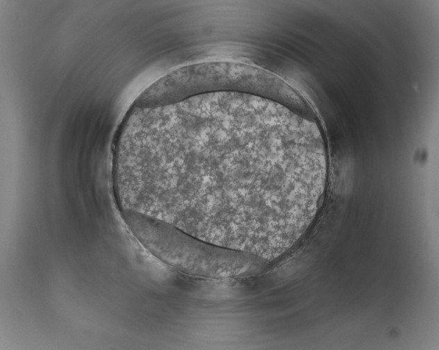 X0000110711096200907101238