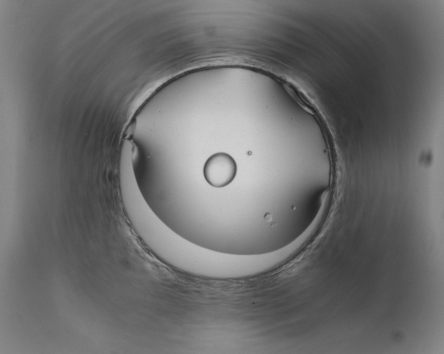 X0000110711097200907101238