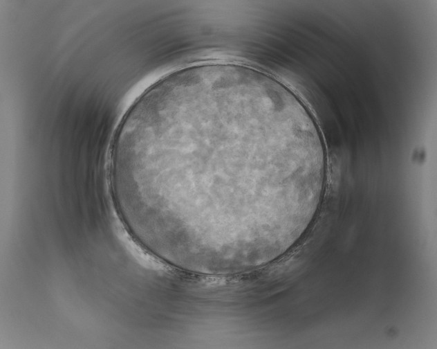 X0000110711098200907101238