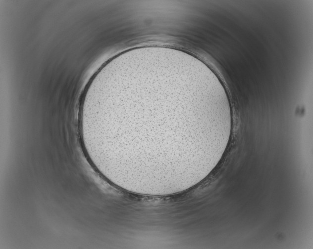 X0000110711099200907101238