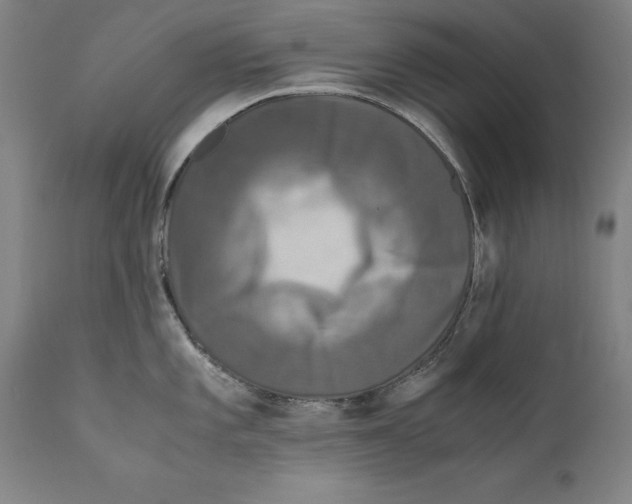 X0000110711101200907101238