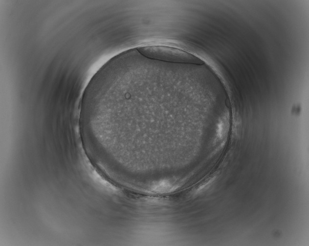 X0000110711102200907101238