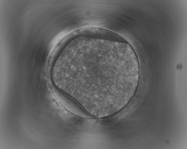 X0000110711104200907101238