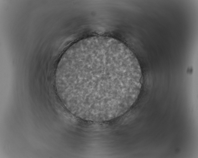 X0000110711105200907101237