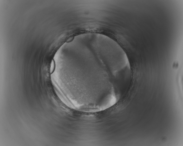 X0000110711106200907101237