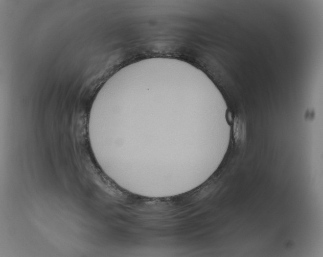 X0000110711107200907101237